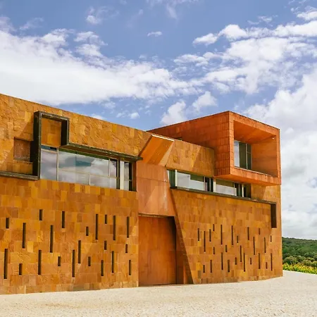 Castillo De Monte La Reina Real & Bodega 托罗