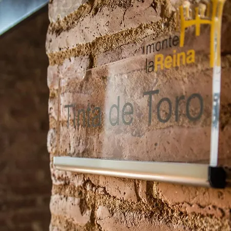 Castillo De Monte La Reina Real & Bodega * 托罗