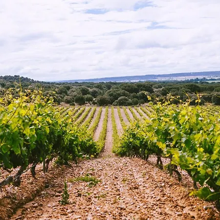 Castillo De Monte La Reina Real & Bodega 酒店