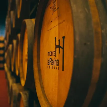 Castillo De Monte La Reina Real & Bodega * 托罗