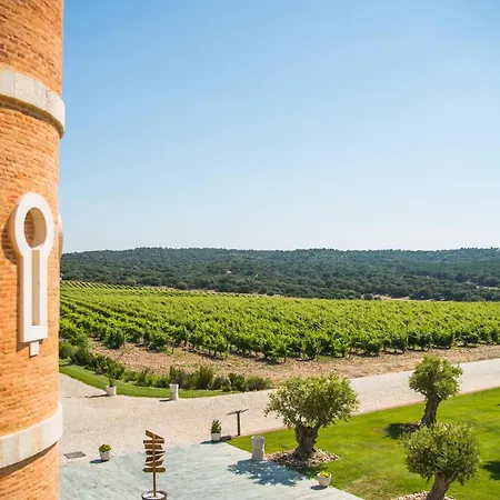 Hotel Castillo De Monte La Reina Real & Bodega Toro