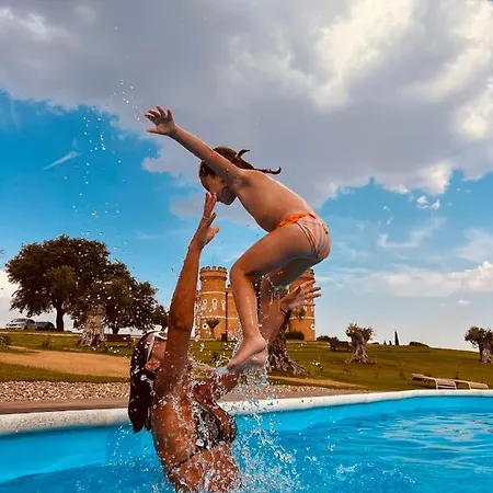 Castillo De Monte La Reina Real & Bodega 酒店 托罗