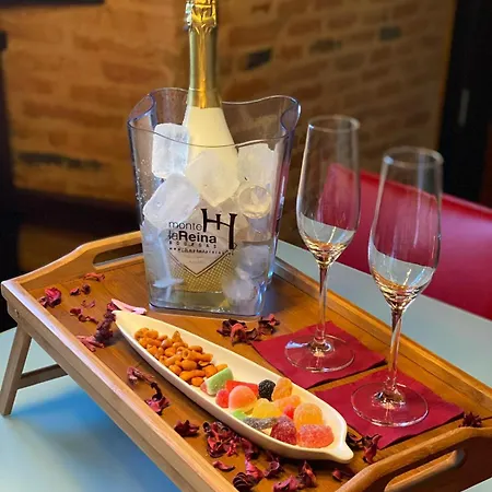 Castillo De Monte La Reina Real & Bodega * Toro