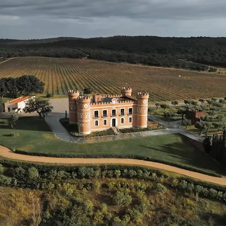 Castillo De Monte La Reina Real & Bodega 托罗