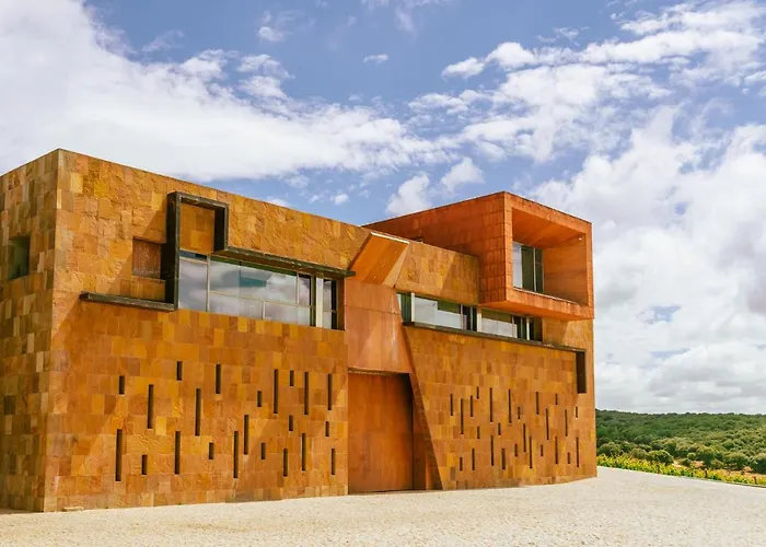 Castillo De Monte La Reina Real & Bodega Toro