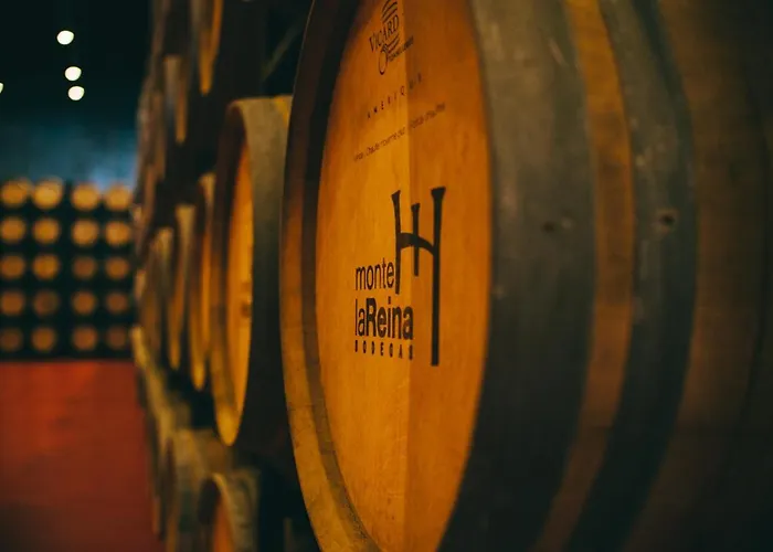 Castillo De Monte La Reina Real & Bodega * Toro