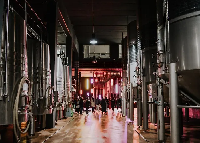 Castillo De Monte La Reina Real & Bodega * Toro