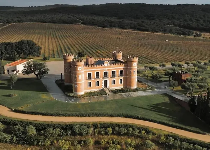 Castillo De Monte La Reina Real & Bodega Toro